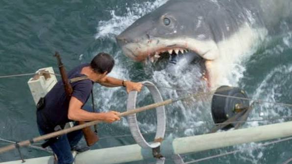 Lo Squalo - Lo squalo bianco emerge di sorpresa di fronte a un terrorizzato Brody