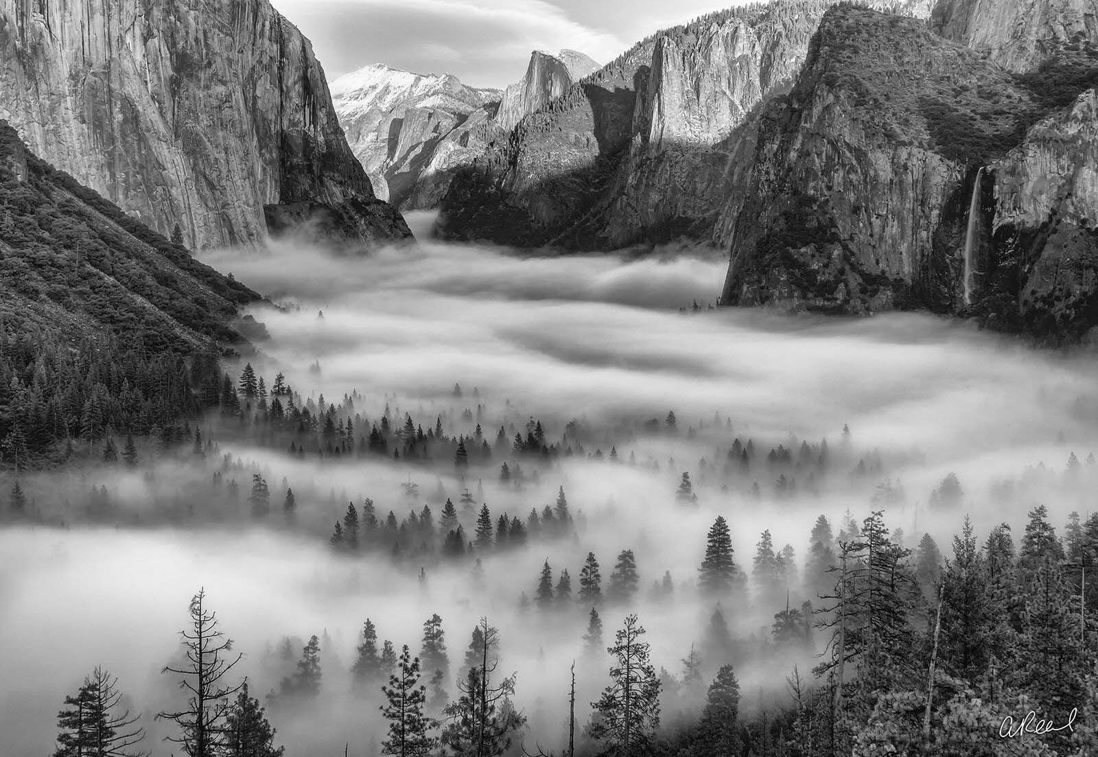 Ansel Adams - Opera 6