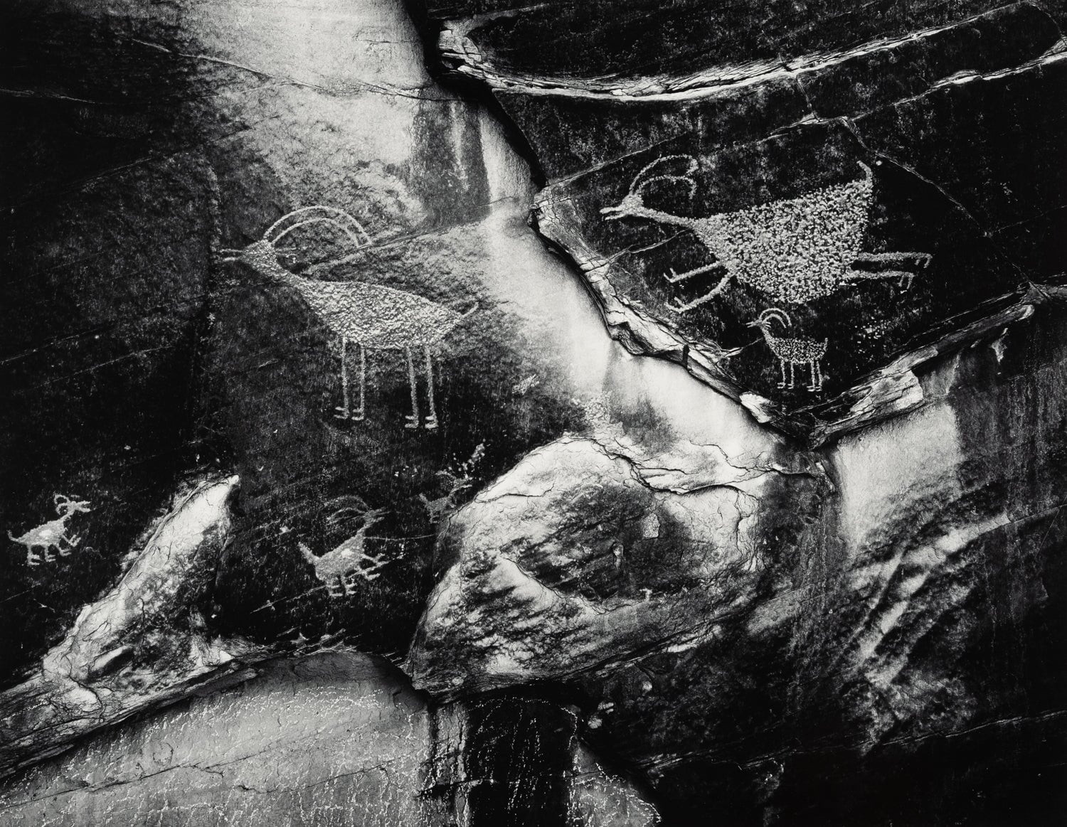 Ansel Adams - Opera 9