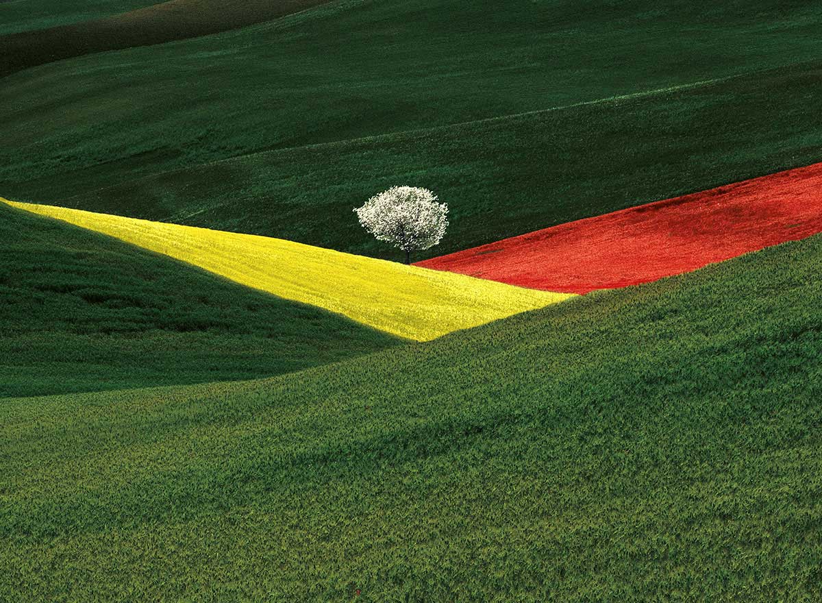 Franco Fontana 
