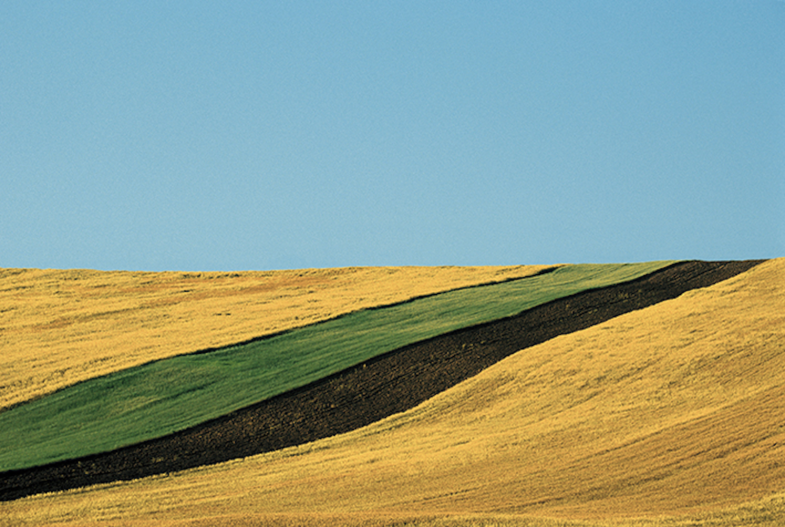 Franco Fontana 