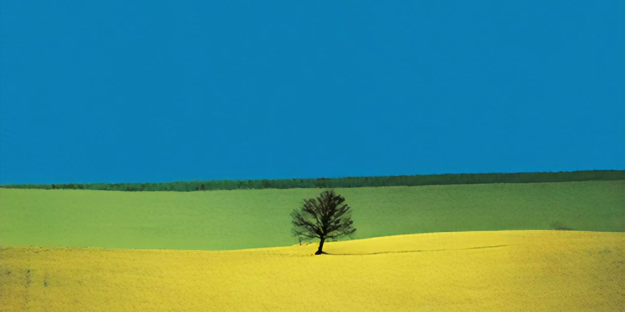 Franco Fontana 
