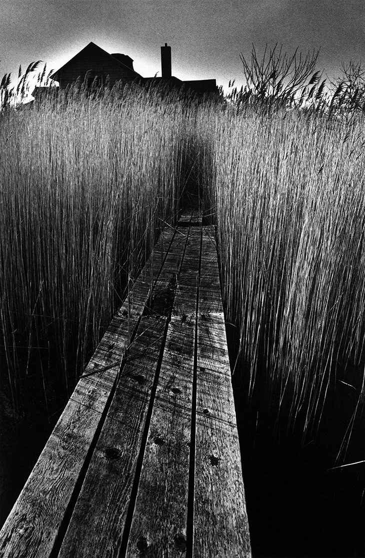 Jeanloup Sieff 