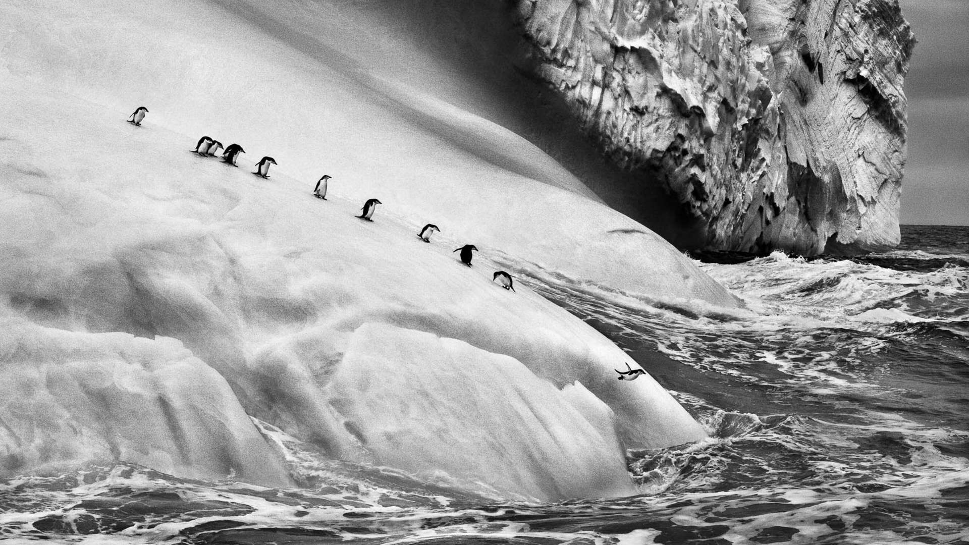 Sebastião Salgado 